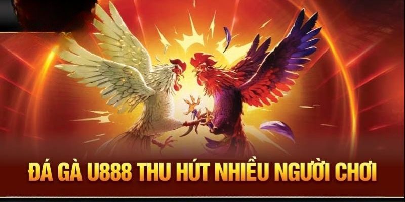 Hình thức đá gà cựa sắt rất được người chơi yêu thích